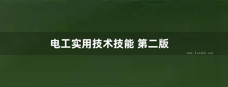 电工实用技术技能 第二版